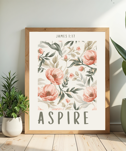 ASPIRE | James 1:17 Wall Frame